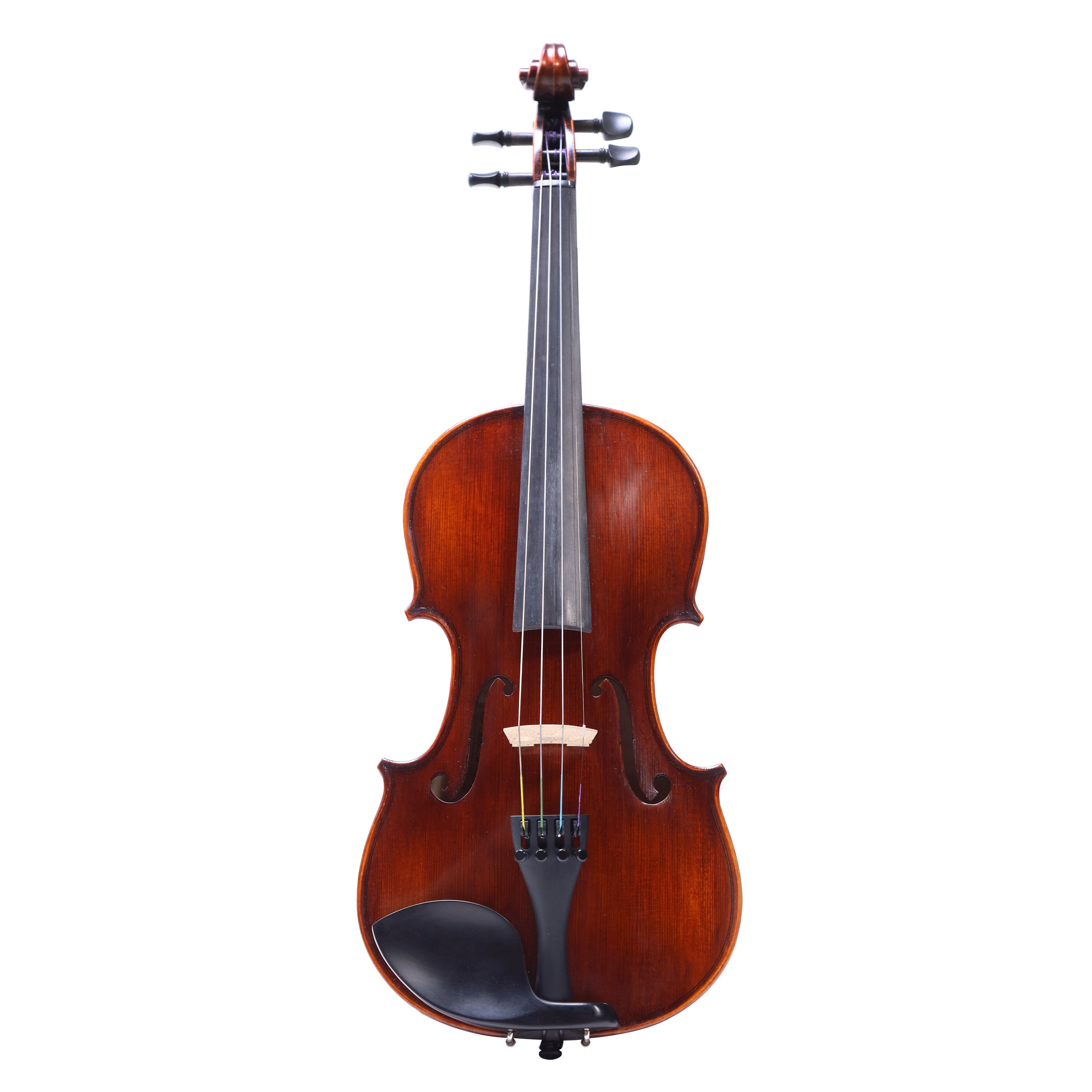 Eastman VL305 中階學生小提琴套裝 (4/4)