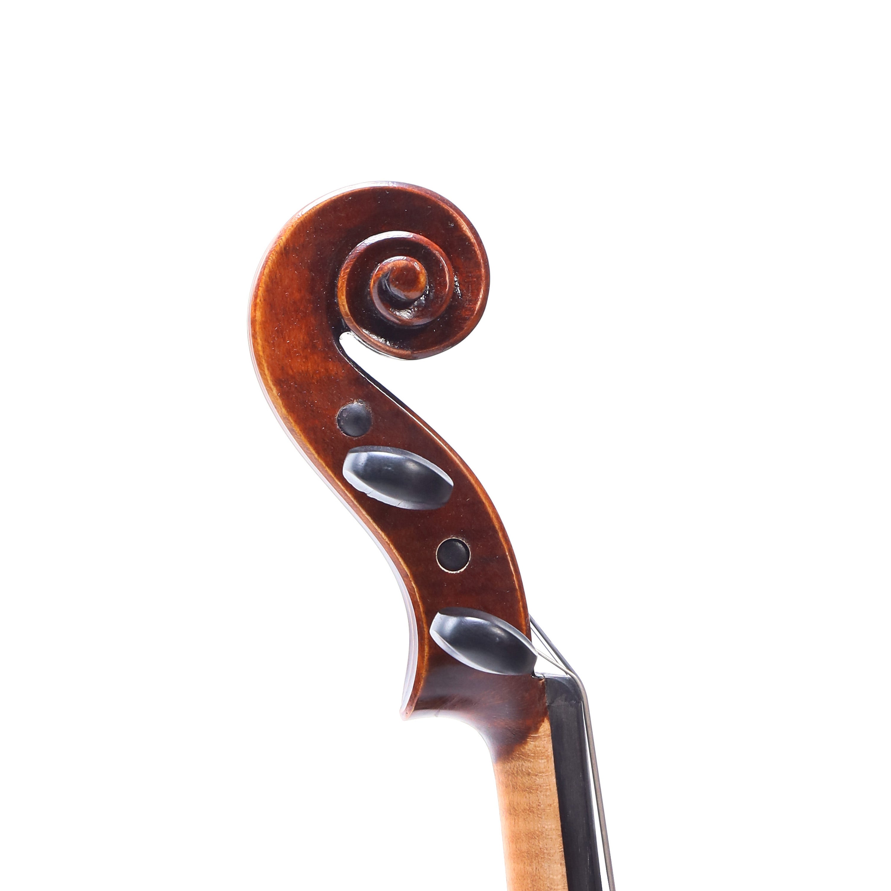 Eastman VL305 中階學生小提琴套裝 (4/4)