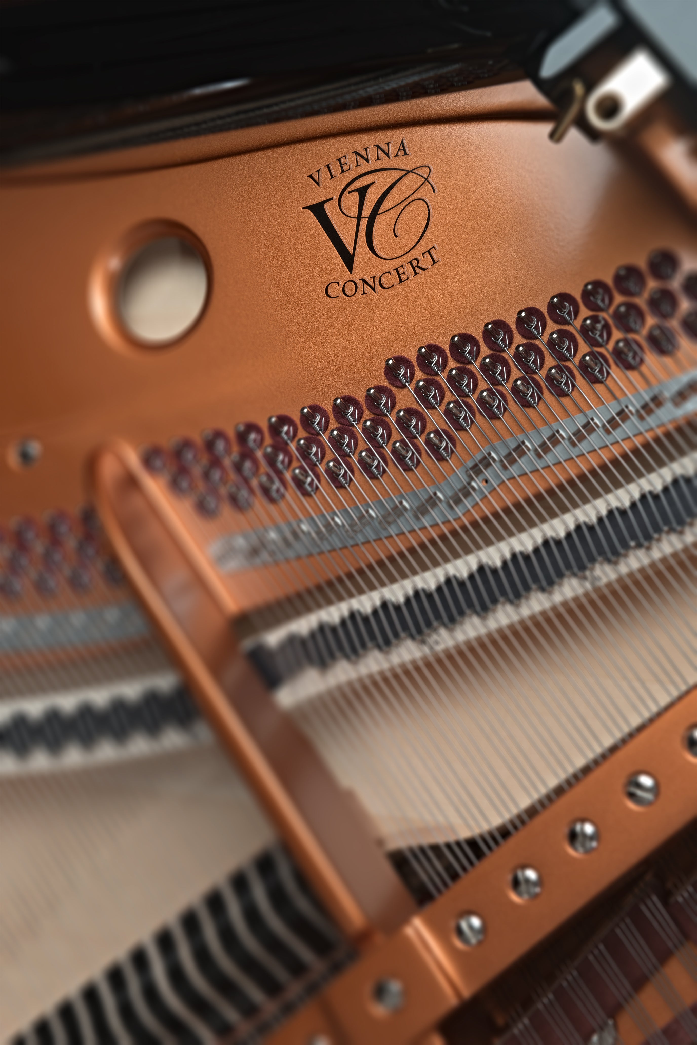 Bosendorfer Grand Piano 170VC