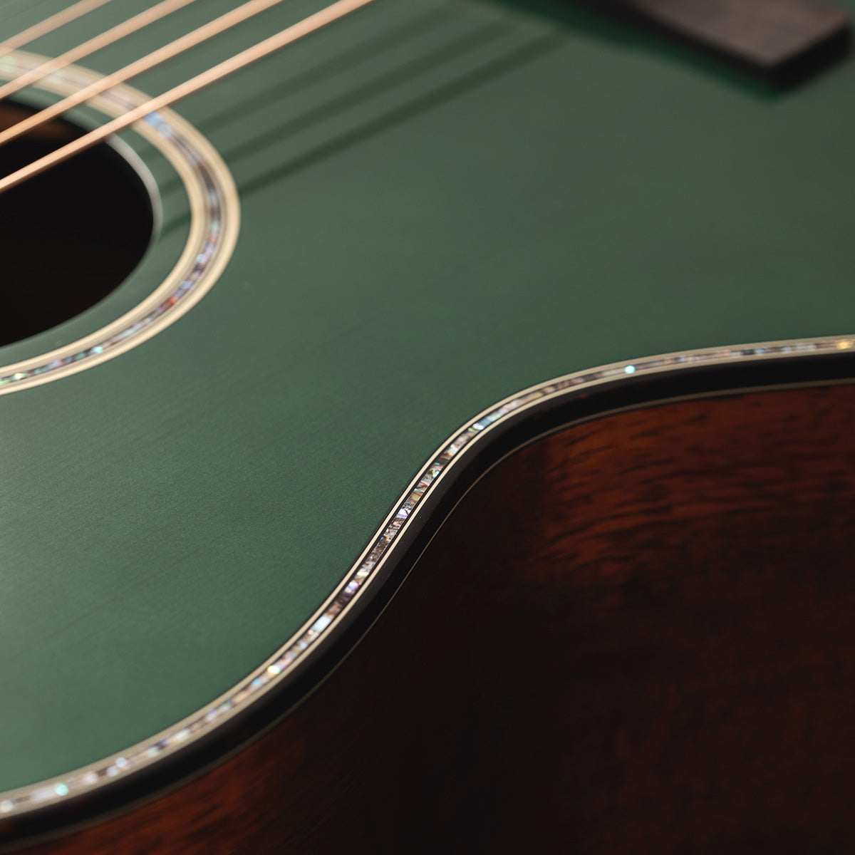 Takamine LTD2025 Limited Editions