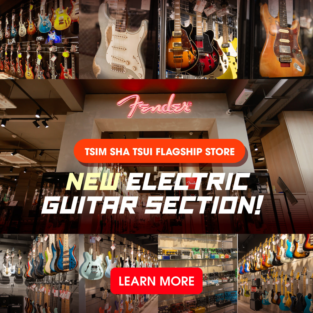 new guitar section