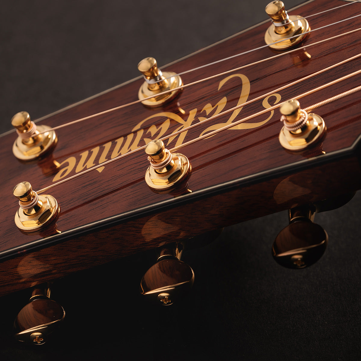 Takamine LTD2025 Limited Editions