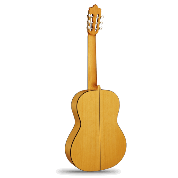 Alhambra Mengual and Margarit Flamenca