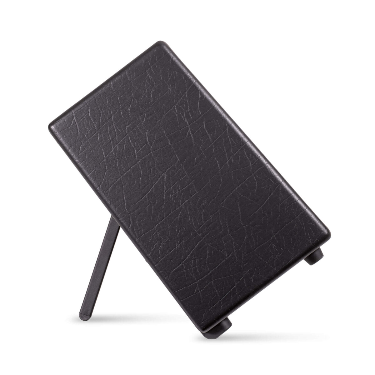 Blackstar Artist FR Standard