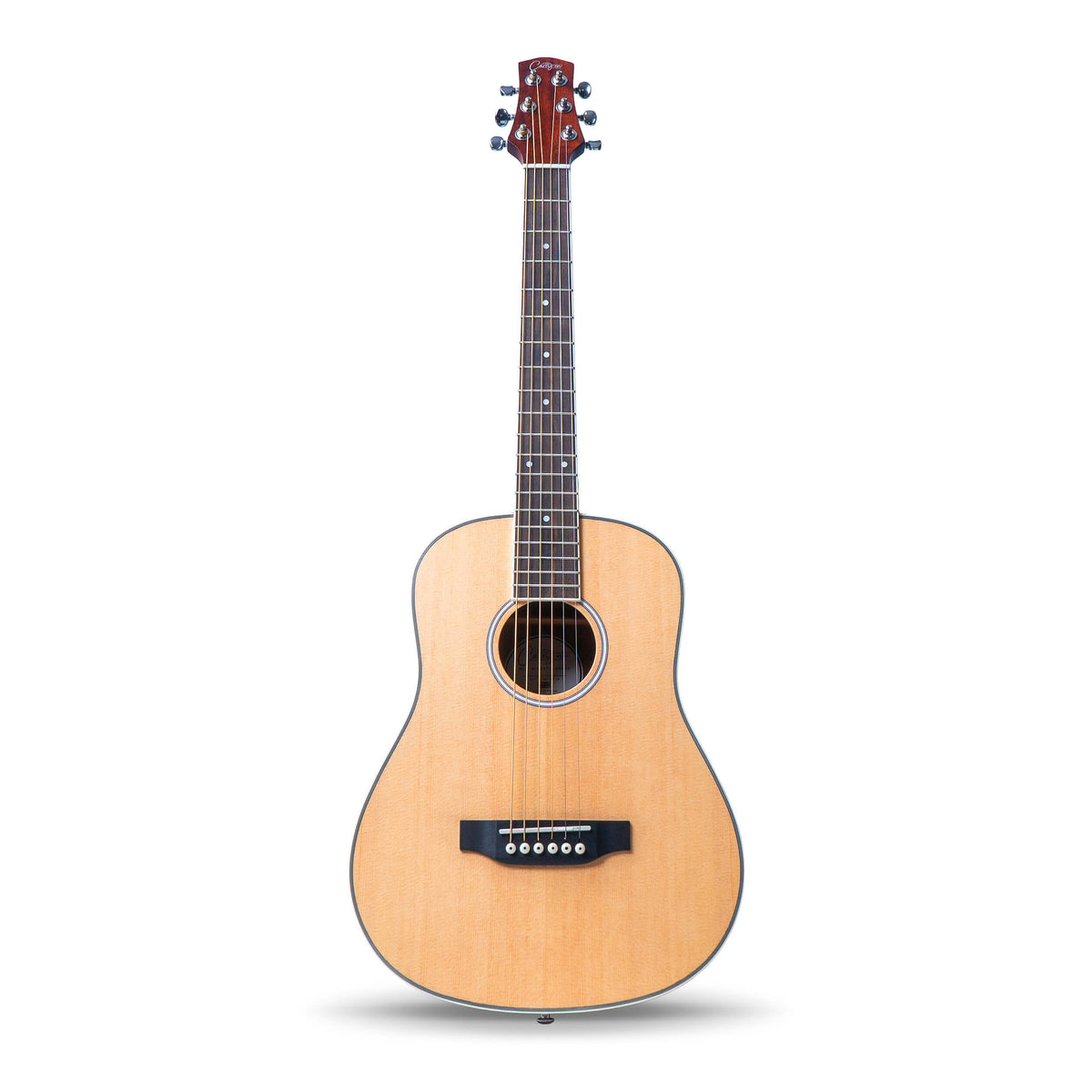 Genzler A4-MINI ACOUSTIC ARRAY 美品USED（Carry-on Mini Acoustic 