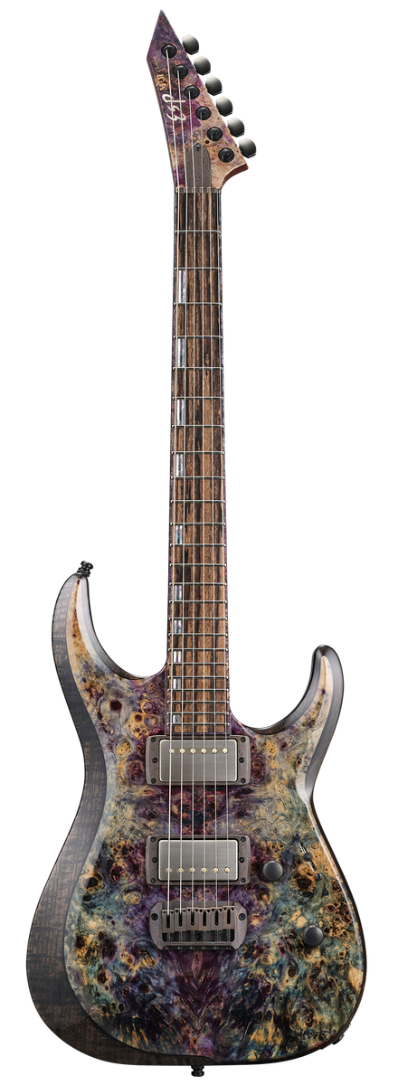 ESP Exhibition 2024 EX24-04 M-II CTM NT — Tom Lee Music