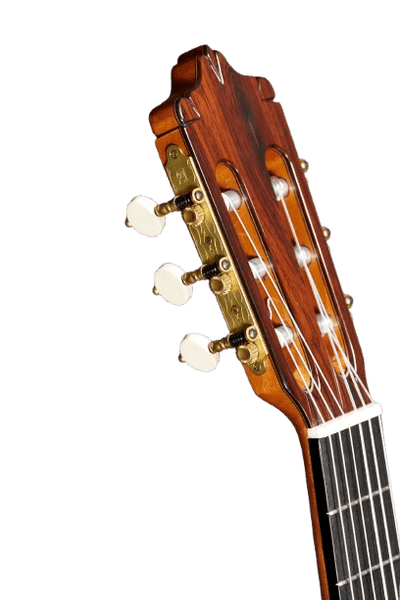 Alhambra Mengual and Margarit Flamenca