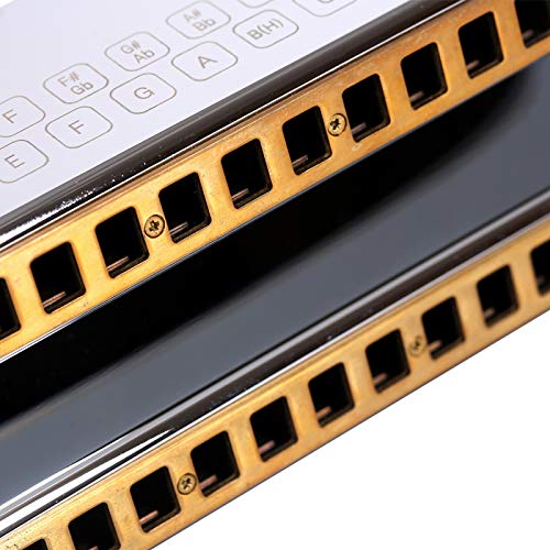 EAST TOP PE-30 雙聯低音口琴