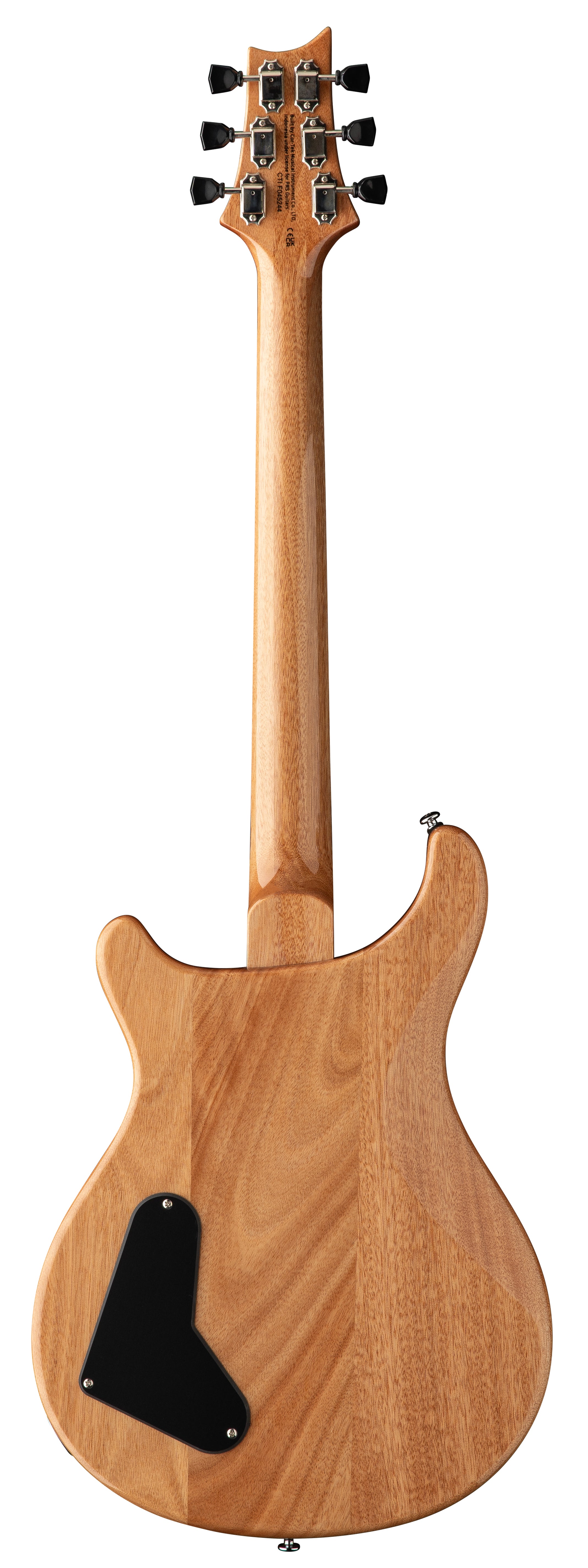 PRS SE Paul's Guitar (Turquoise) — Tom Lee Music