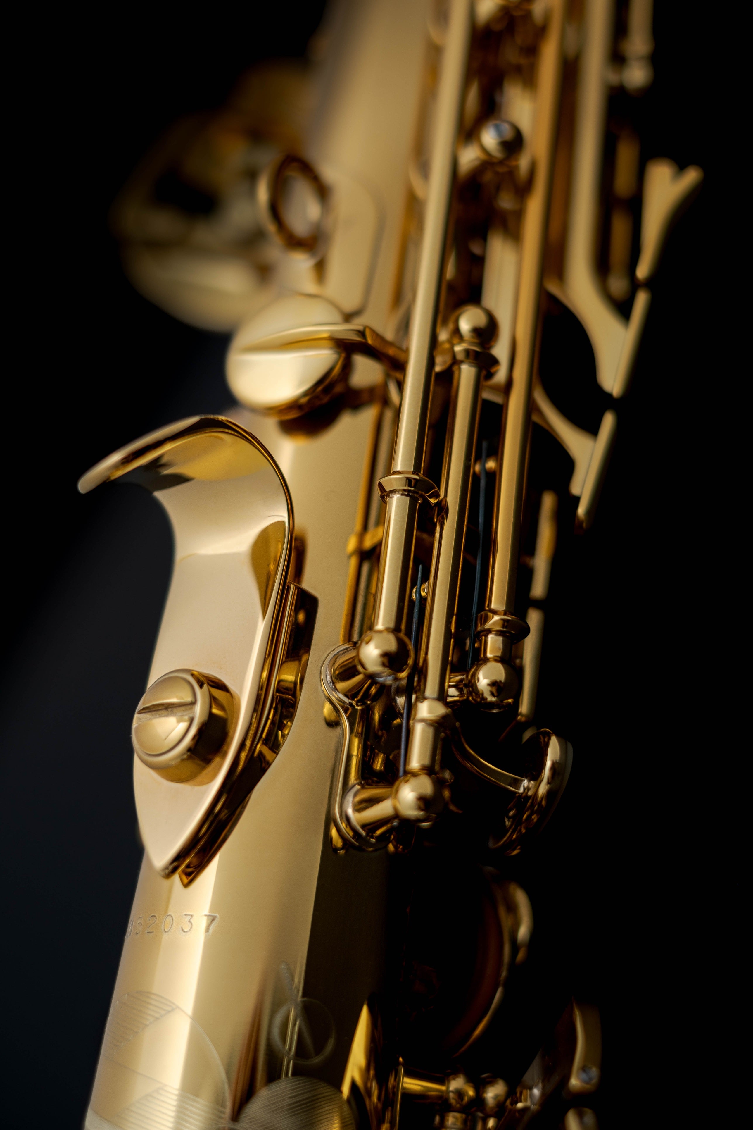 Selmer Paris Signature 專業高音色士風