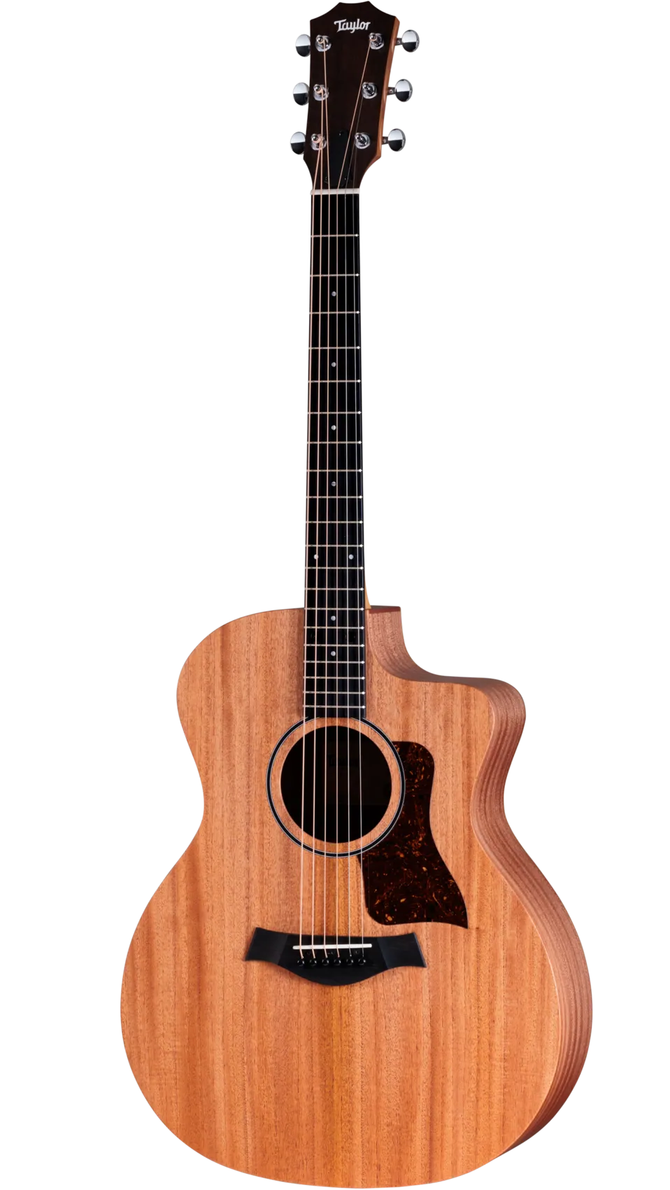 Taylor 24CE