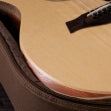 Taylor Academy 12e LTD