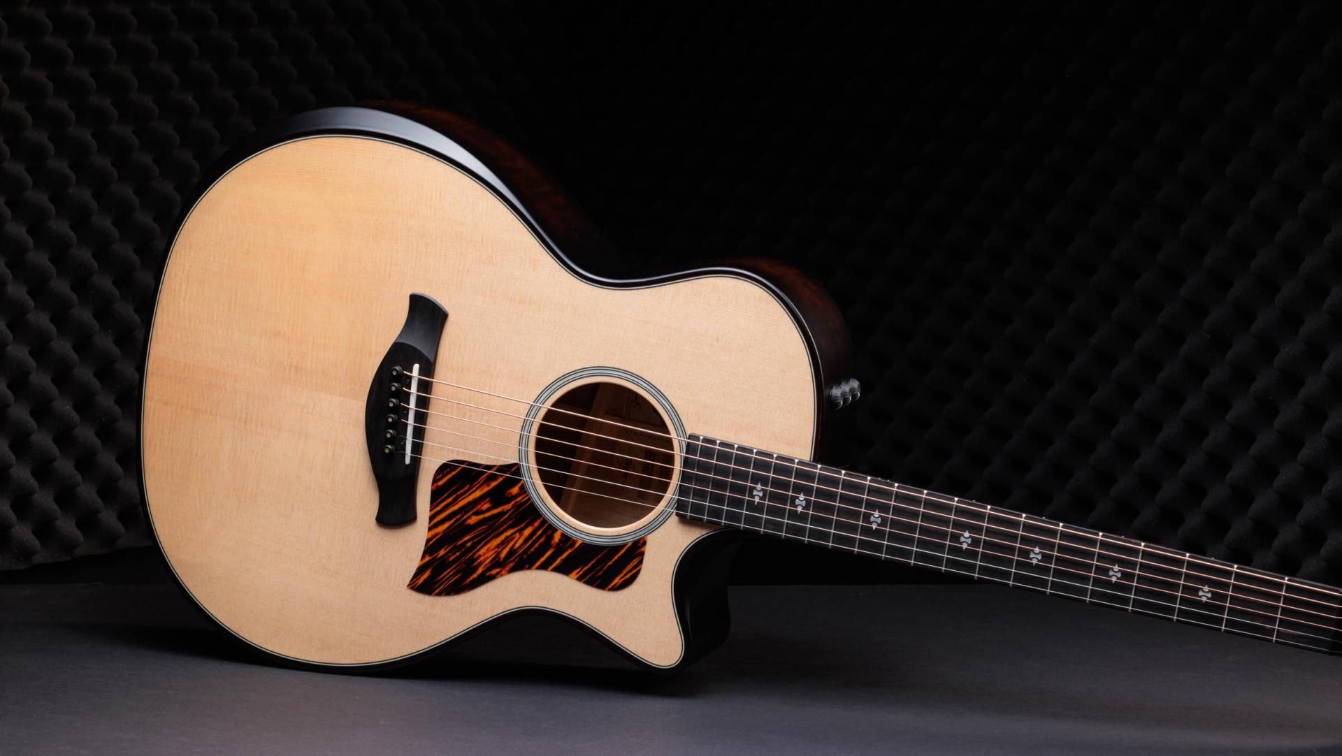 Taylor 50th Anniversary Builder's Edition 314ce LTD - Natural