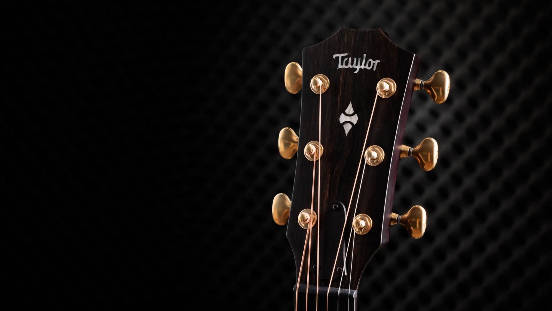 Taylor 50th Anniversary Builder's Edition 314ce LTD - Natural