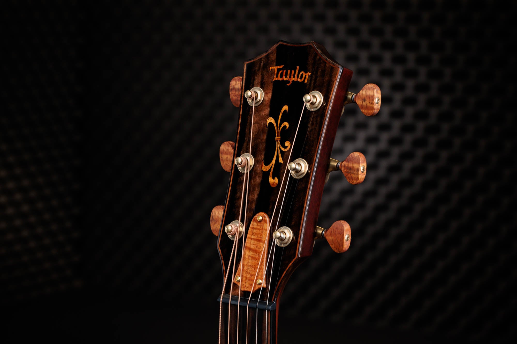 Taylor C14ce B5004 – Grand Auditorium, Torrefied Sitka Spruce/Figured Big Leaf Maple