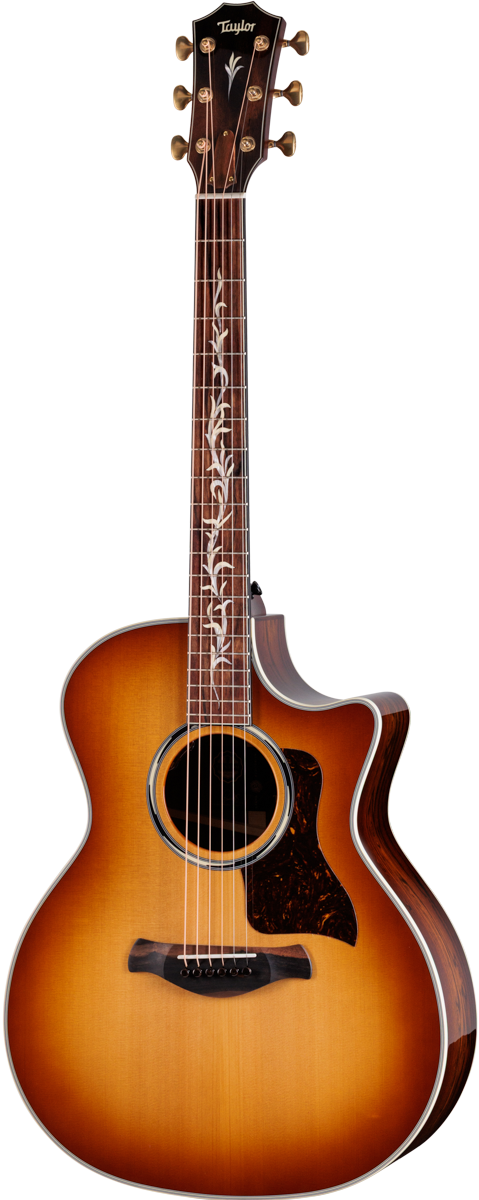 Taylor C14ce B6037 – Grand Auditorium, Port Orford Cedar/Bocote