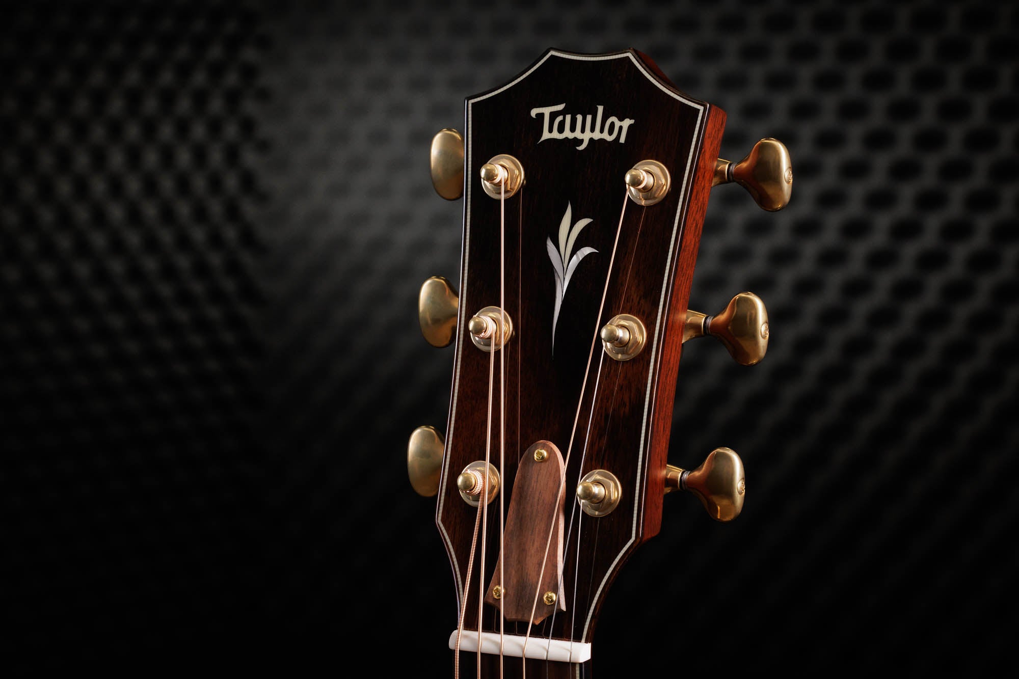 Taylor C14ce B6037 – Grand Auditorium, Port Orford Cedar/Bocote