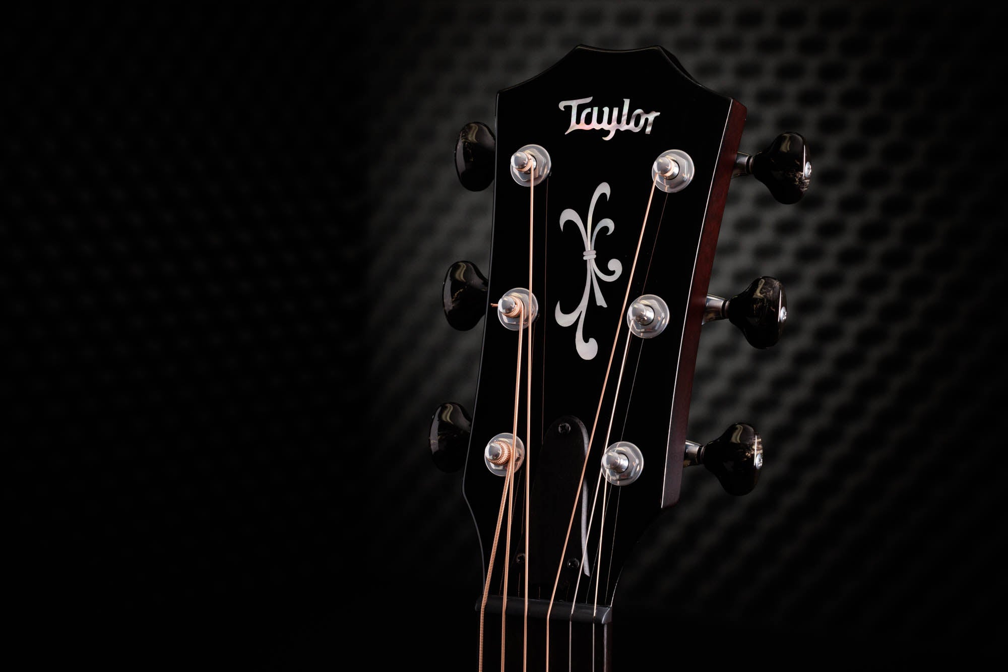 Taylor C14ce C0798 – Grand Auditorium, Striped Western Red Cedar/Mahogany
