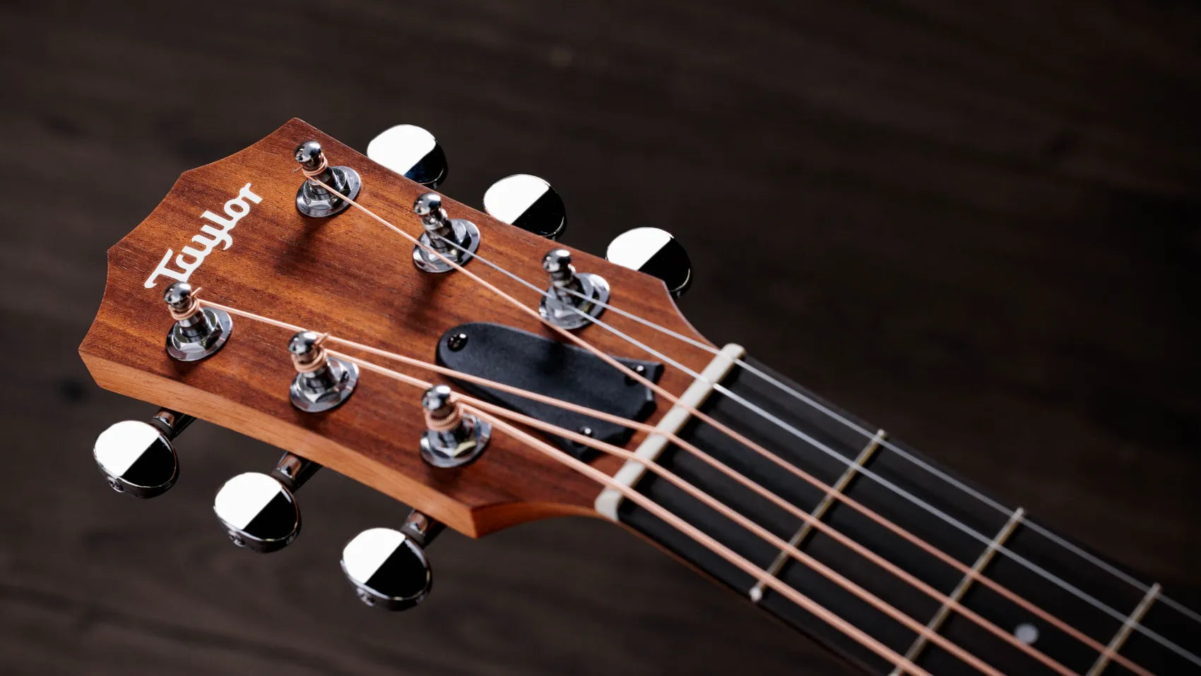 Taylor GS Mini