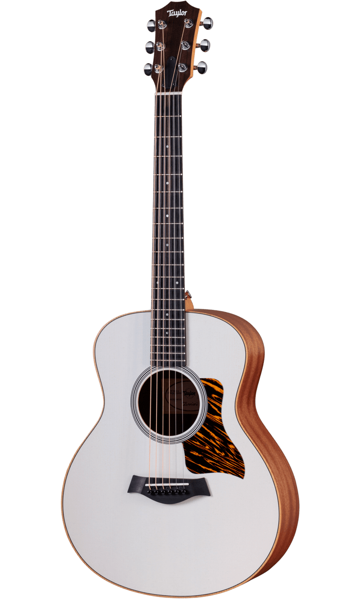 Taylor-GSMini-eSpecialEdition-