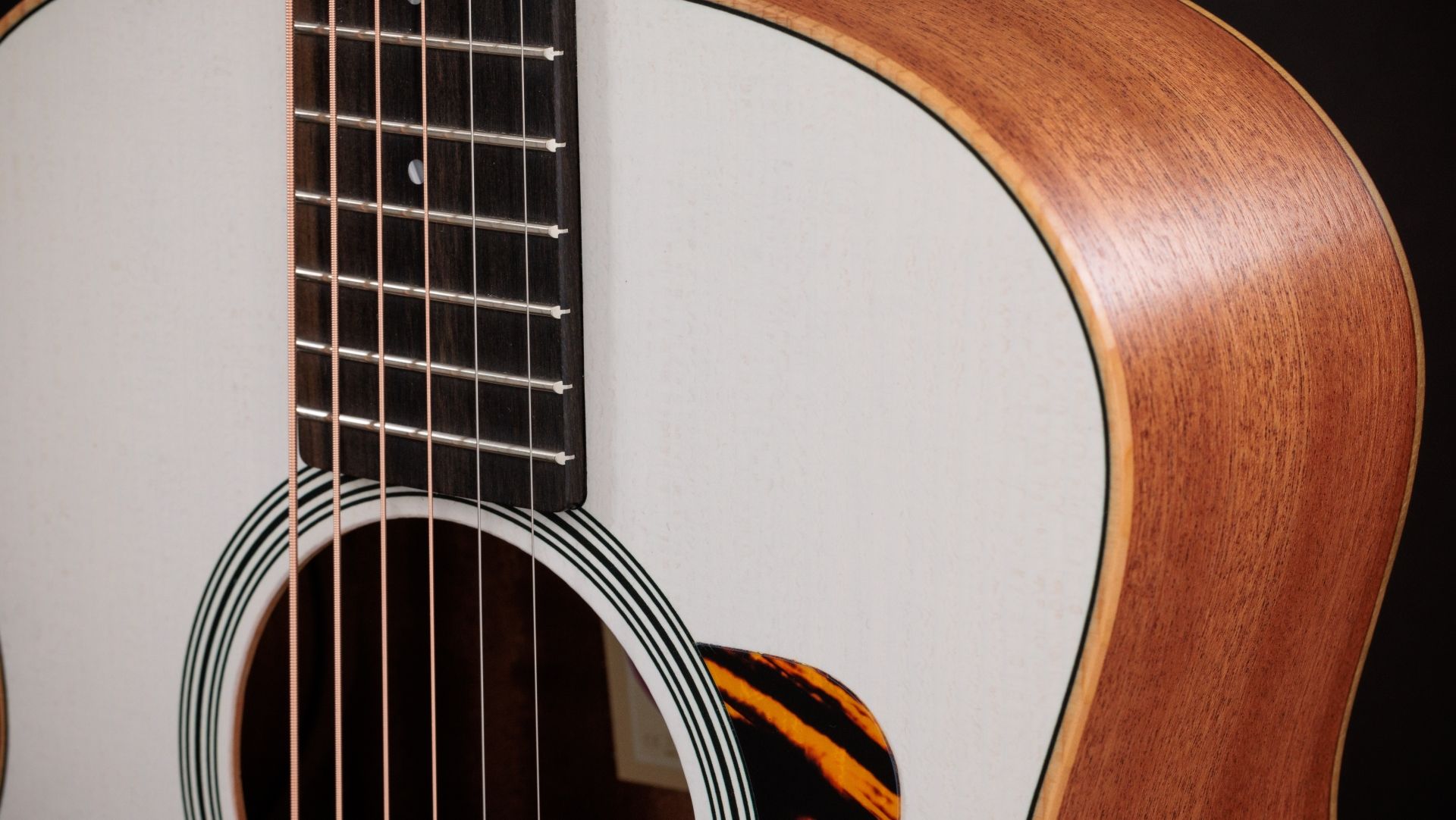 Taylor GS Mini-e Special Edition, Trans White