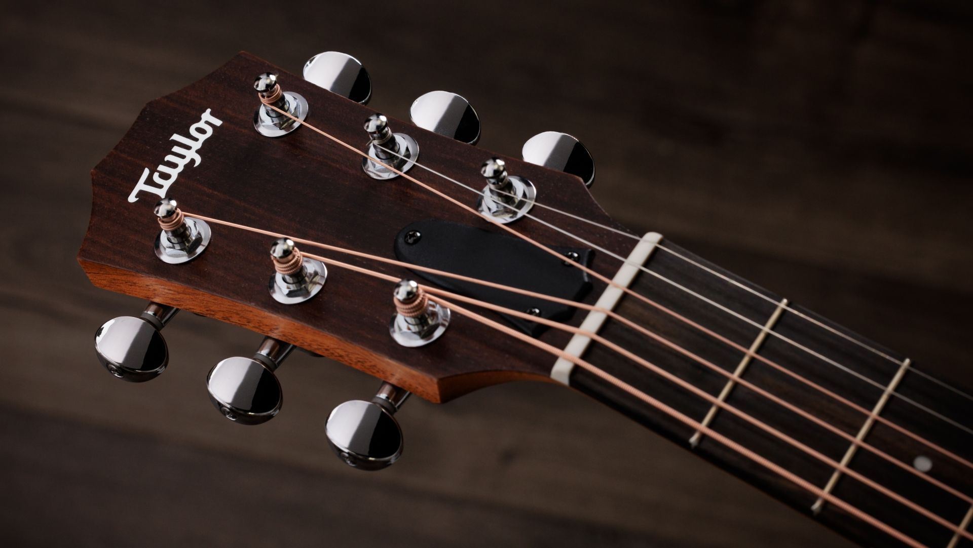 Taylor GS Mini-e Special Edition, Trans White