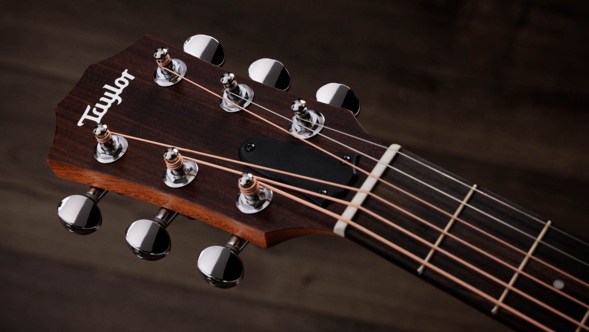 Taylor GS Mini-e Special Edition, Trans Black