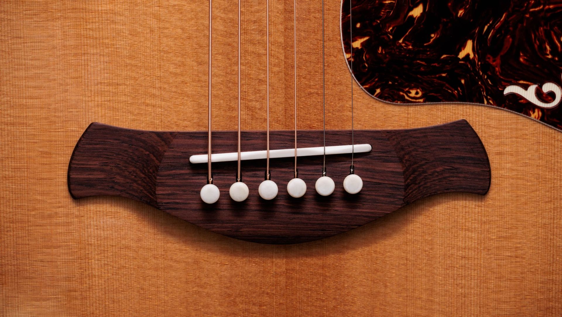 Taylor Gold Label 814e