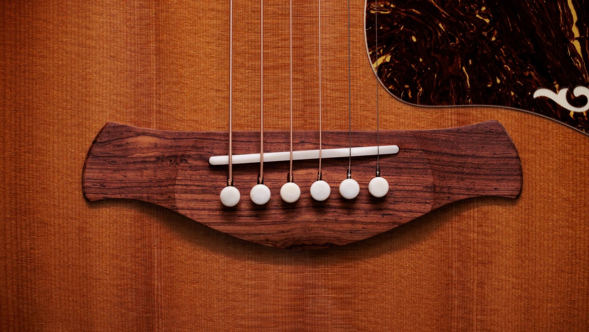 Taylor Gold Label 814e SB