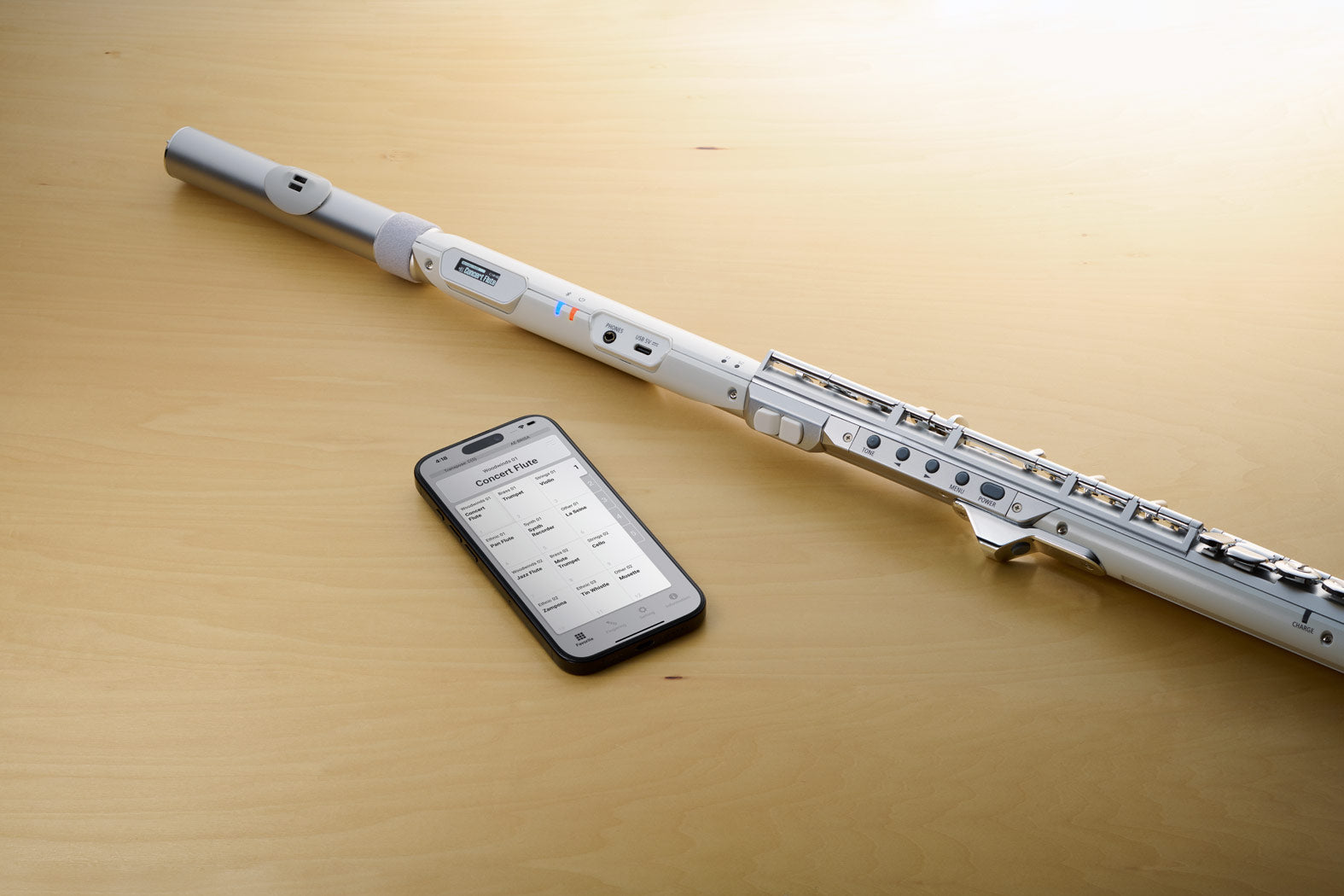 Roland Aerophone Brisa - Digital Wind Instrument