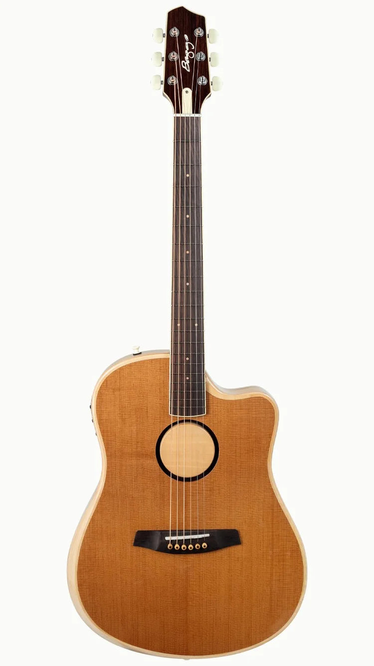 AEG-1 Acoustic Electric Guitar - Torrefied Sitka Spruce
