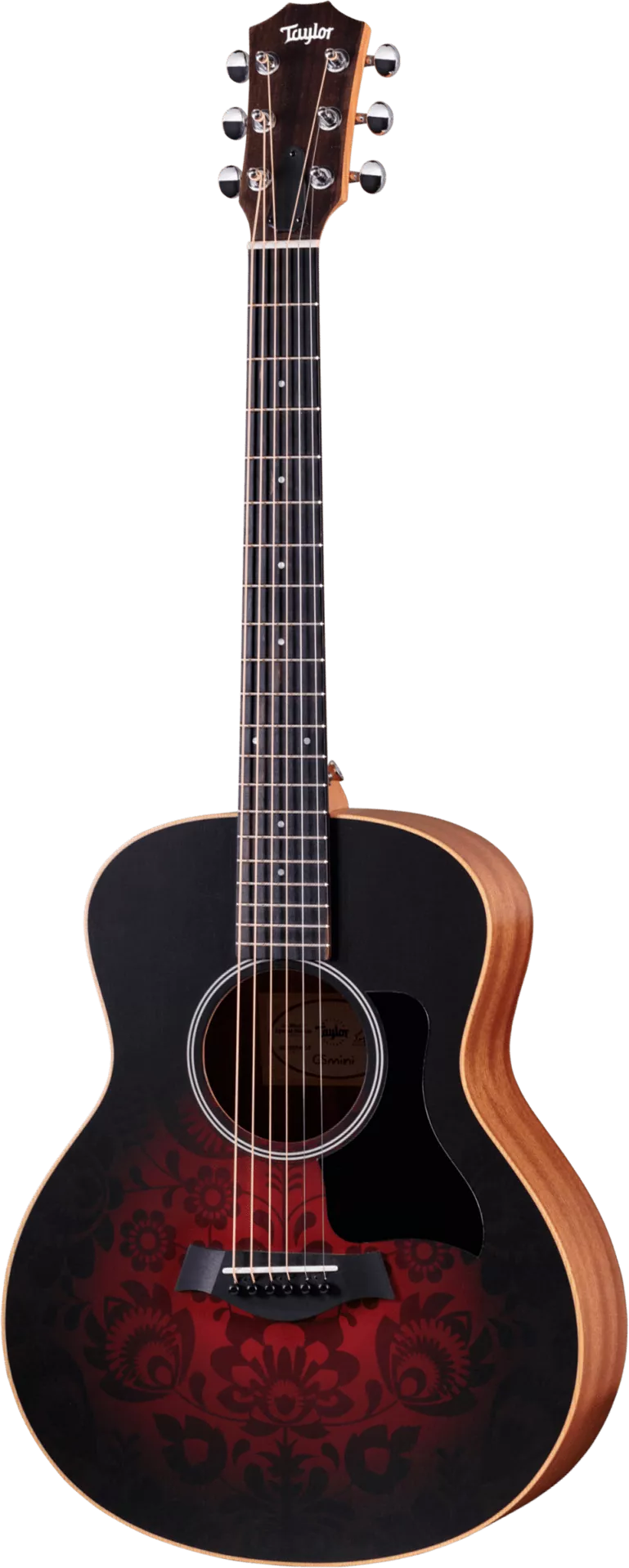 Taylor GS Mini-e Special Edition - Victorian Burst