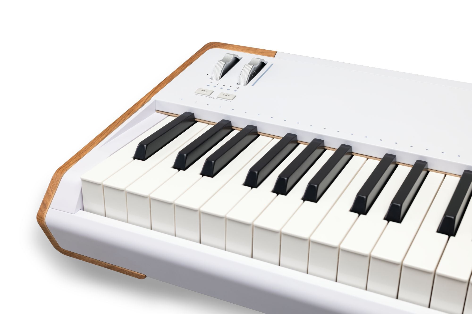 Arturia AstroLab 88 Avant-garde Stage Keyboard