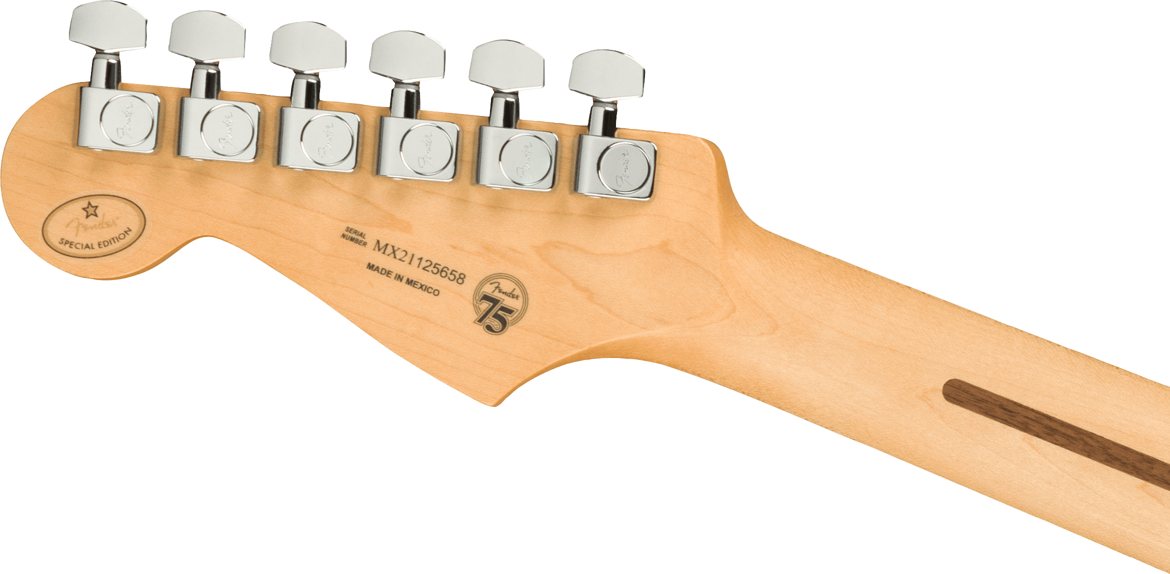 Fender Limited Edition Player Stratocaster®, Pau Ferro Fingerboard, Surf Green