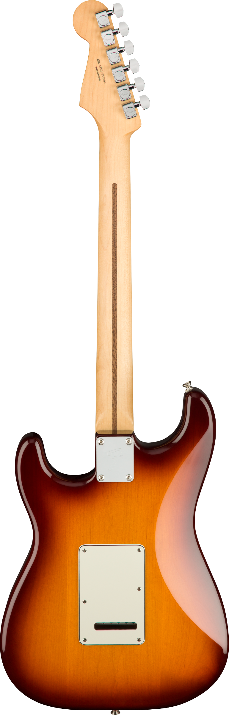 Fender Player Series Stratocaster® Plus Top, Pau Ferro Fingerboard (Tobacco Sunburst) - Electric Guitar 電結他