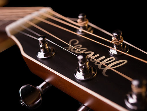 Seagull Coastline Momentum HG A/E (042494) 木結他