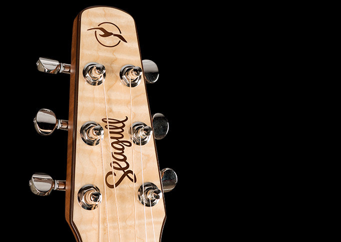 Seagull Performer CW Flame Maple QIT (032464) 木結他
