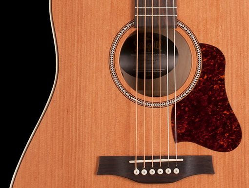 Seagull Coastline Momentum HG A/E (042494) 木結他