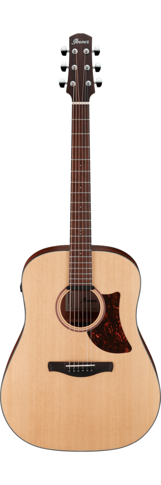Ibanez AAD100E Acoustic-electric Guitar - Open Pore Natural 木結他