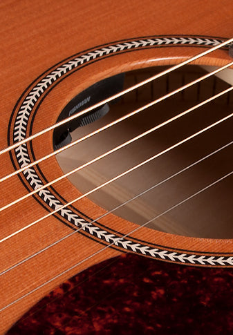 Seagull Coastline Momentum HG A/E (042494) 木結他