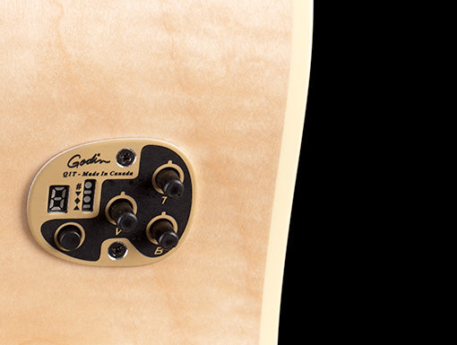 Seagull Performer CW Flame Maple QIT (032464) 木結他