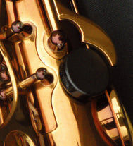 Wood Stone New Vintage Bb Alto Saxophone