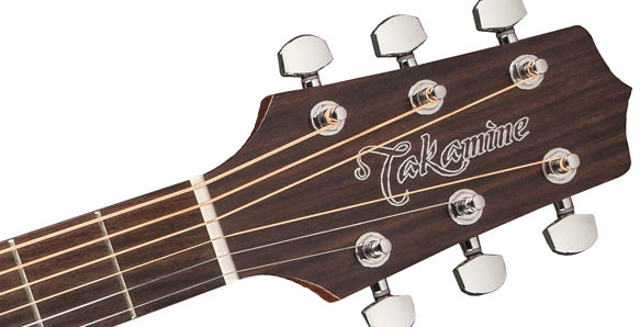 Takamine GD20-NS Acoustic Guitar 木結他