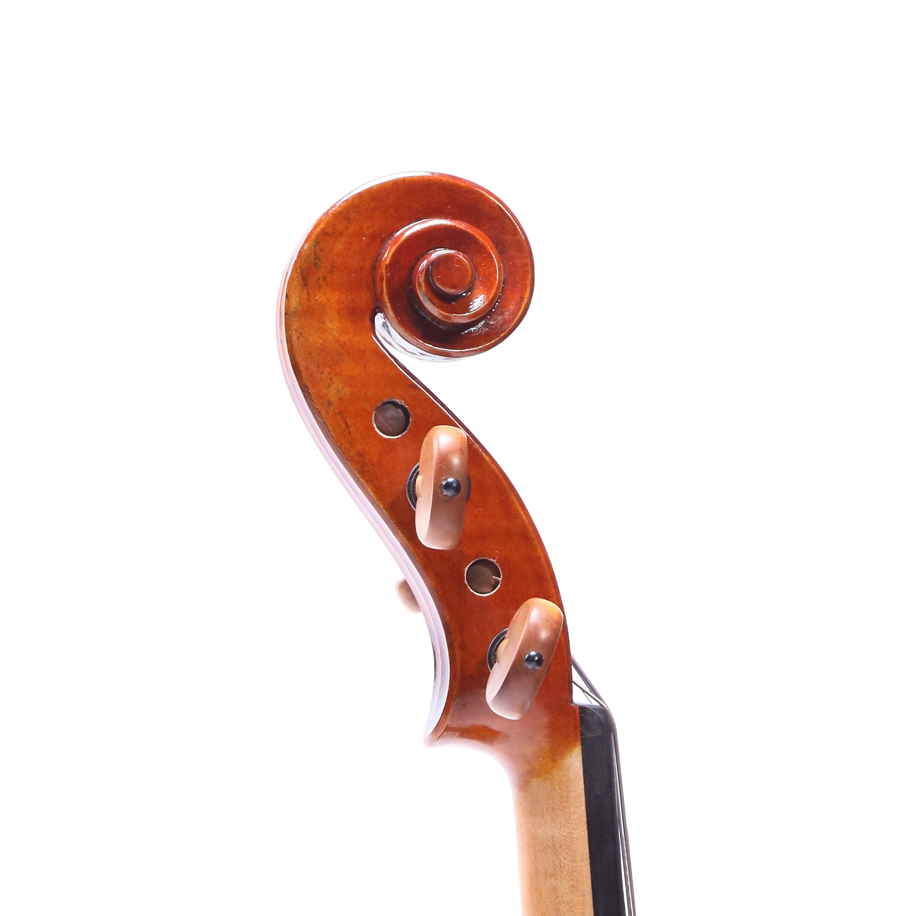 Eastman VL502 中階專業小提琴套裝 (4/4)