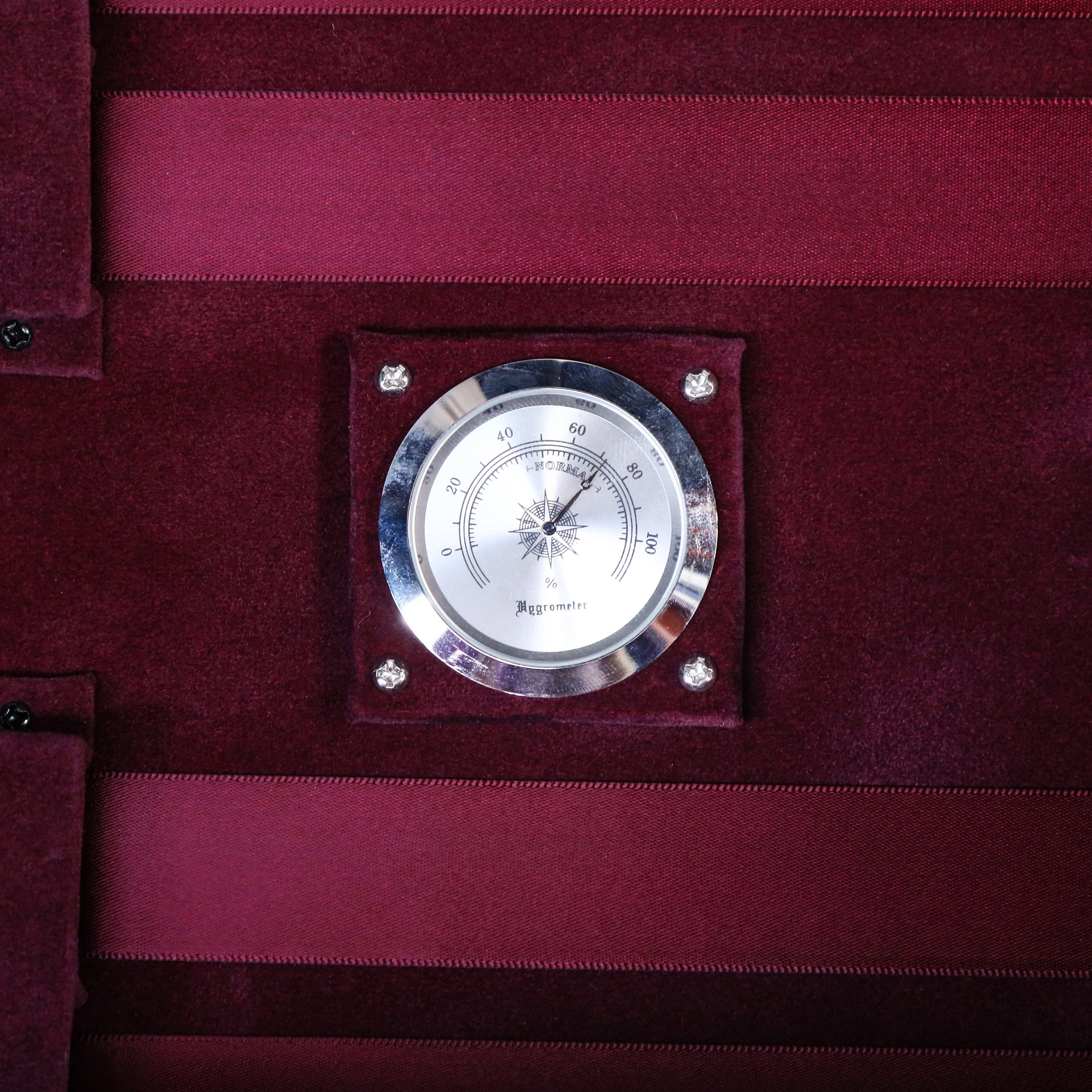 Eastman VL502 中階專業小提琴套裝 (4/4)