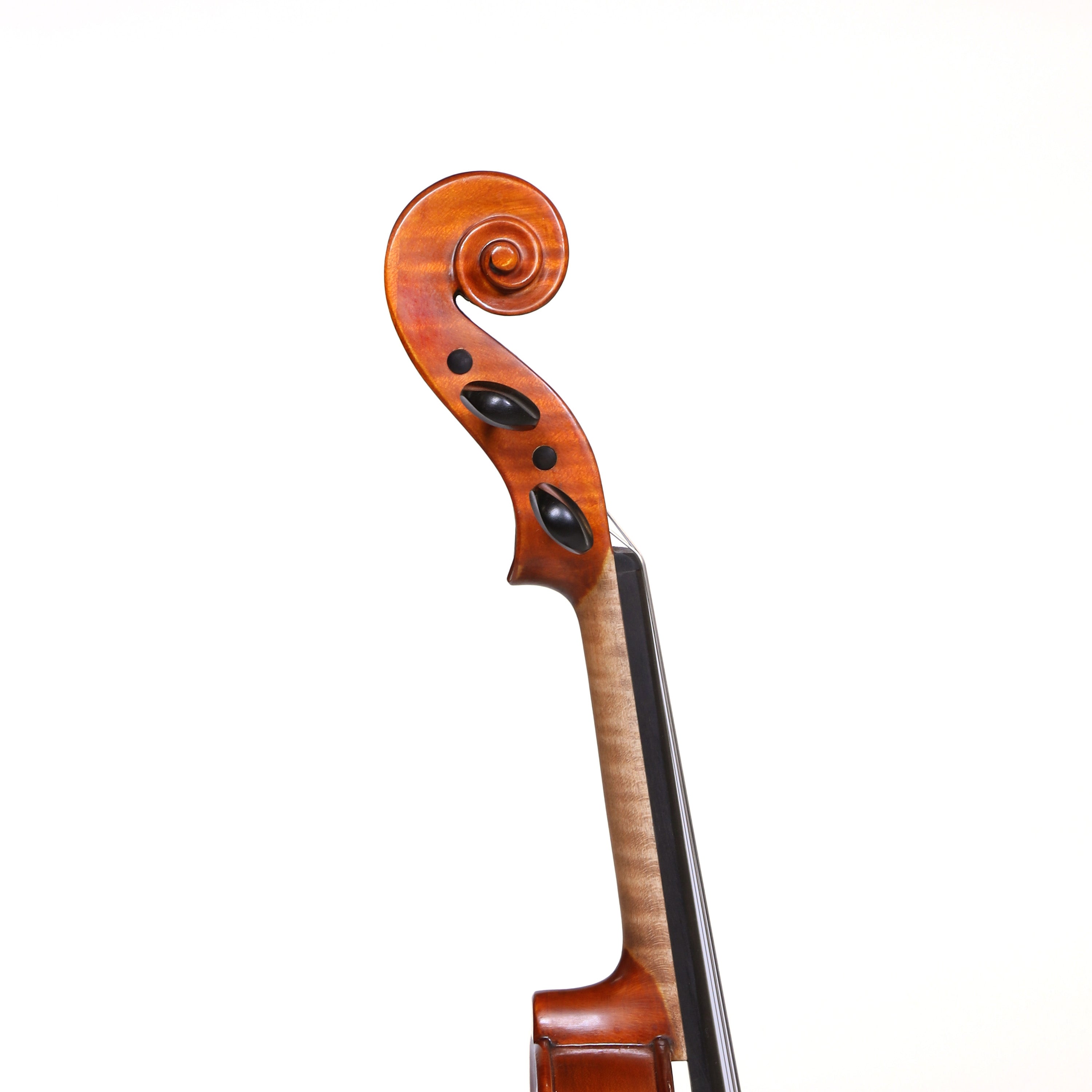 Euro Concert 小提琴套裝