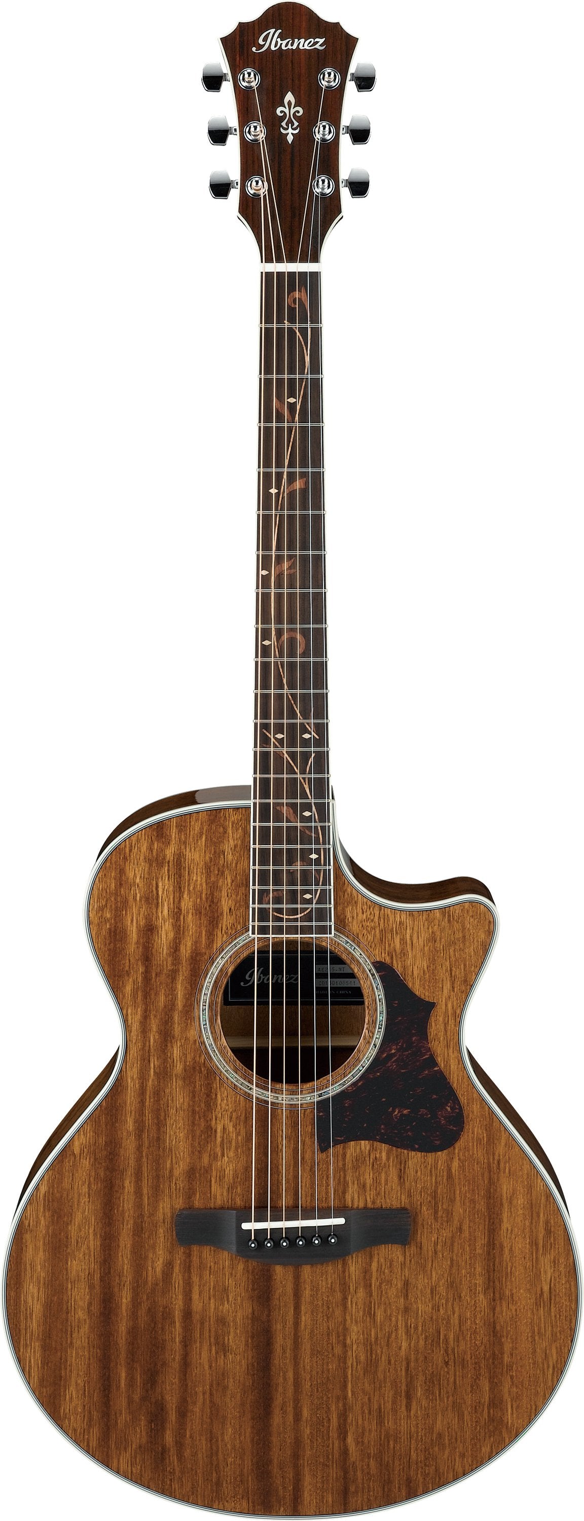 Ibanez AE245NT Electric Acoustic Guitar 木結他