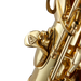 Antigua AS3108 Eb Alto Saxophone