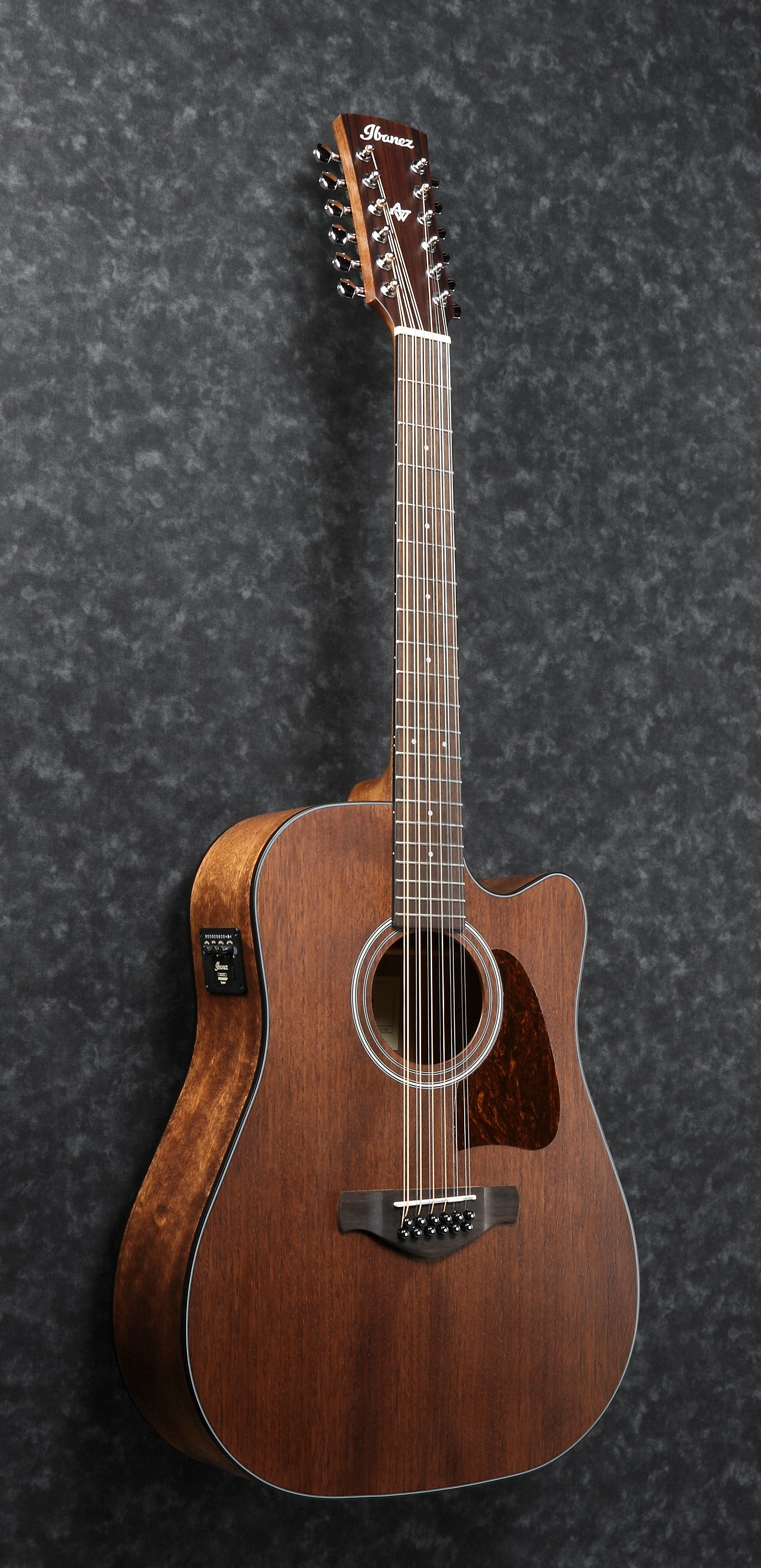 Ibanez AW5412CE Open Pore