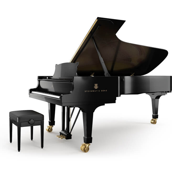 Fluegel D Black 03 Image